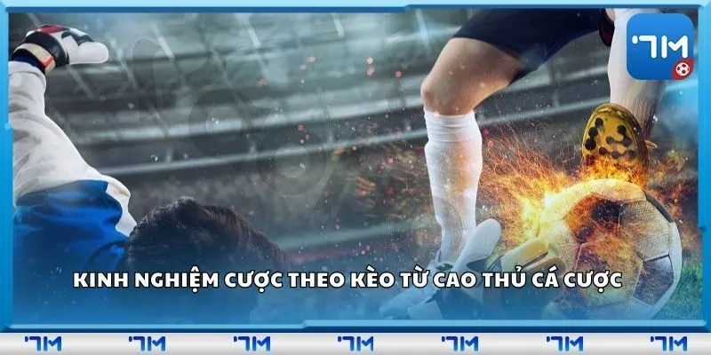 Kinh nghiệm cược theo kèo từ cao thủ cá cược